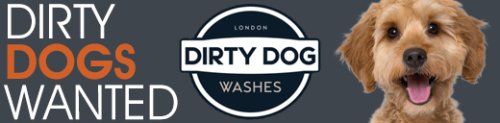 Dirty Dog Washes