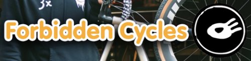 Forbidden Cycles