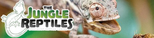The Jungle Reptiles Moss End